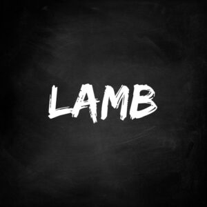 Lamb